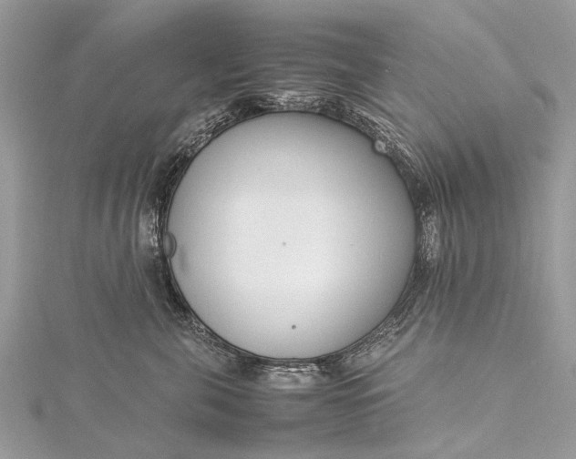 X0000115500571200911201621