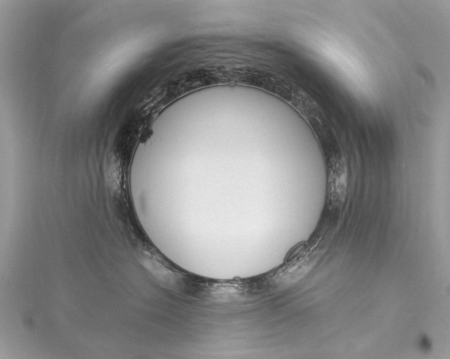 X0000115500574200911201621