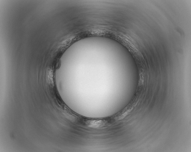 X0000115500575200911201621