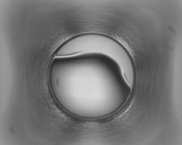 X0000115500577200911201620