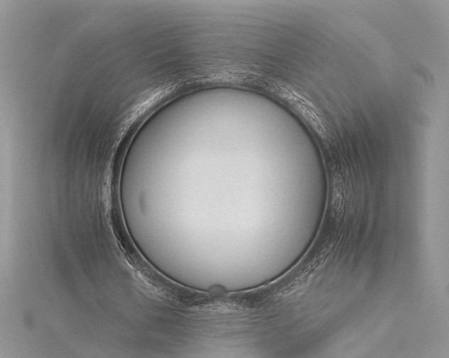 X0000115500578200911201620