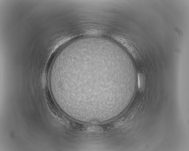 X0000115500579200911201620