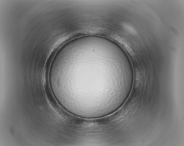 X0000115500582200911201620