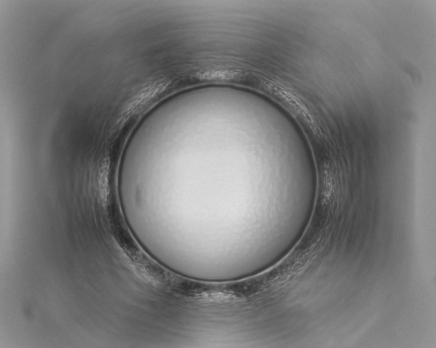 X0000115500586200911201620