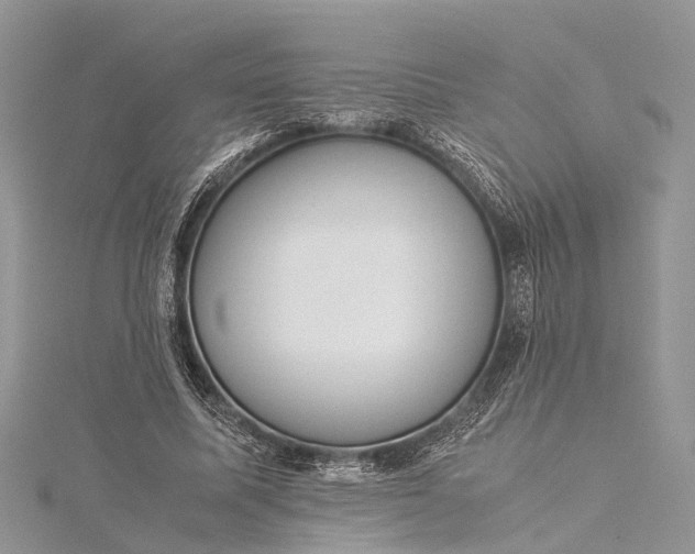 X0000115500587200911201620