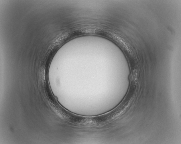 X0000115500589200911201620