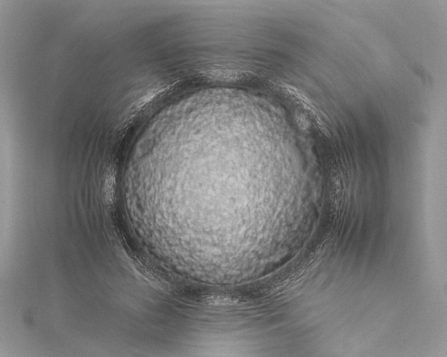 X0000115500596200911201620