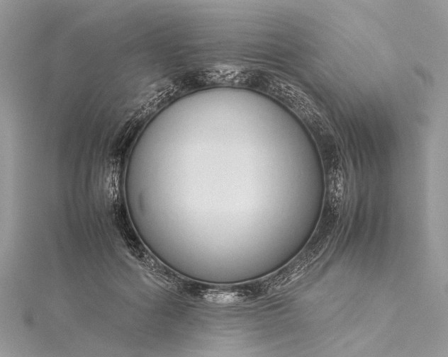 X0000115500602200911201620