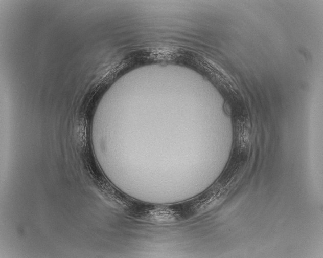X0000115500603200911201620