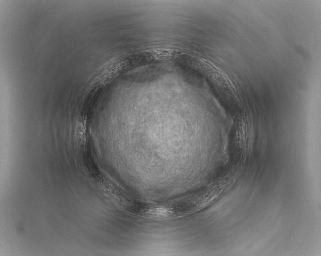 X0000115500610200911201620