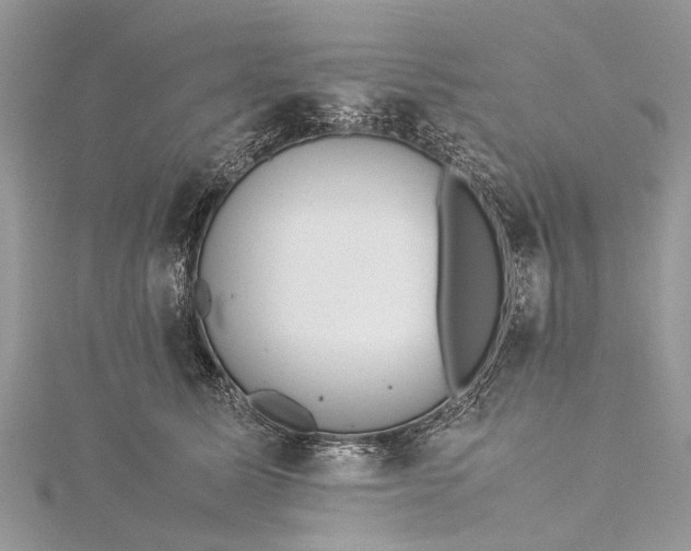 X0000115500611200911201620