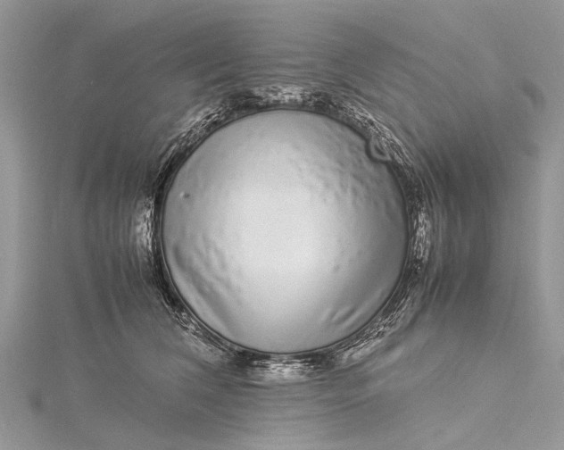X0000115500612200911201620
