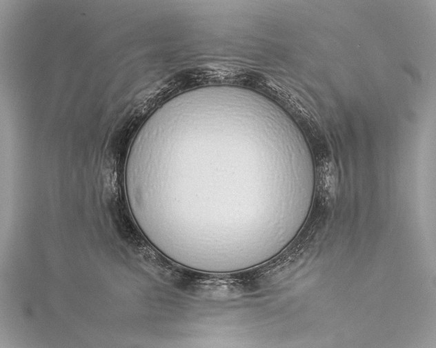 X0000115500615200911201620