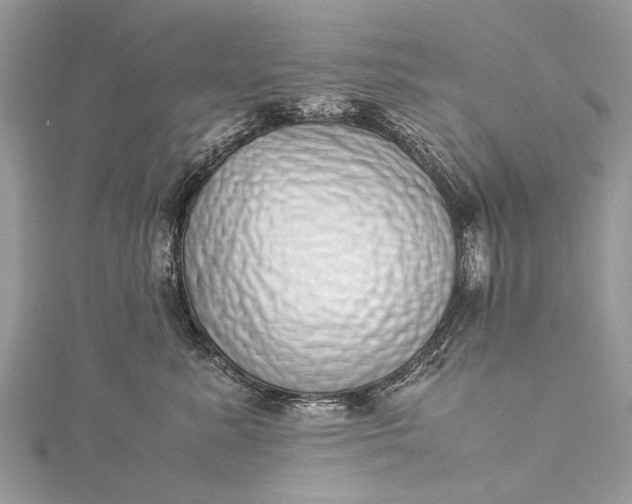 X0000115500619200911201620