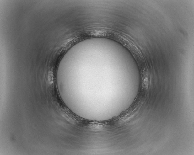 X0000115500620200911201620