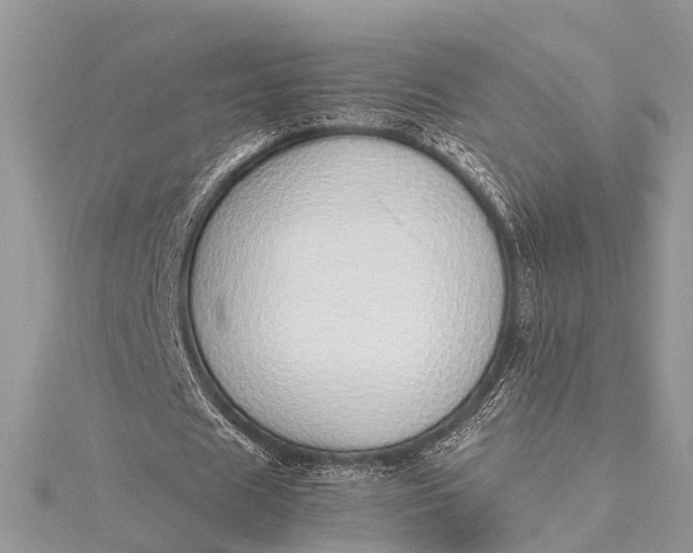 X0000115500625200911201619