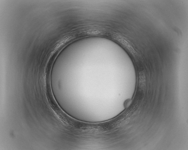X0000115500626200911201619