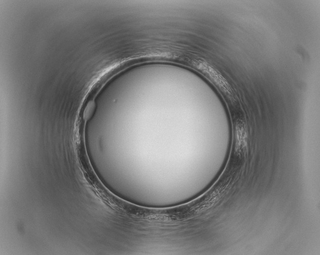 X0000115500628200911201619