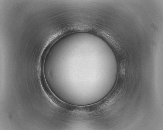 X0000115500630200911201619