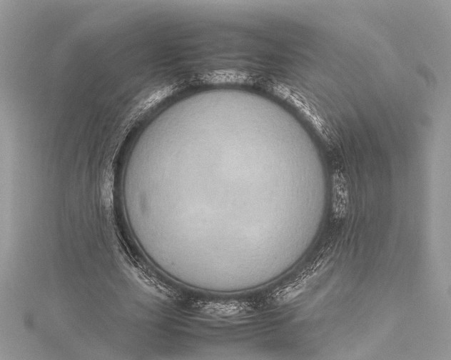 X0000115500631200911201619