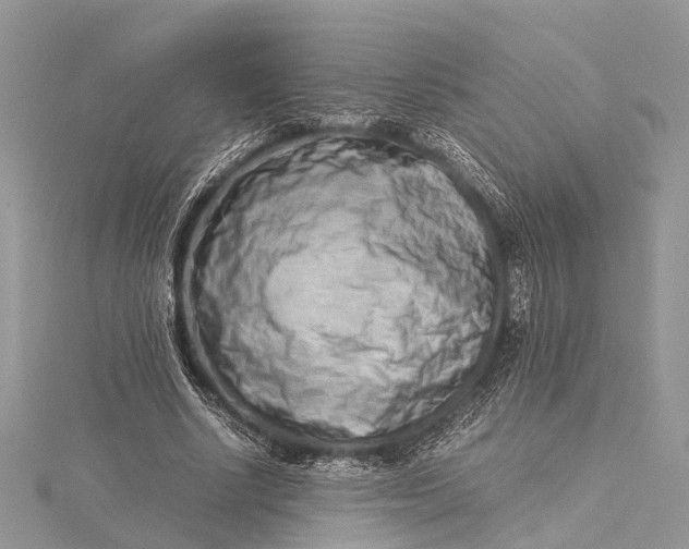 X0000115500634200911201619