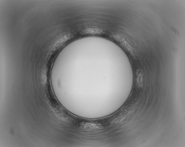 X0000115500635200911201619