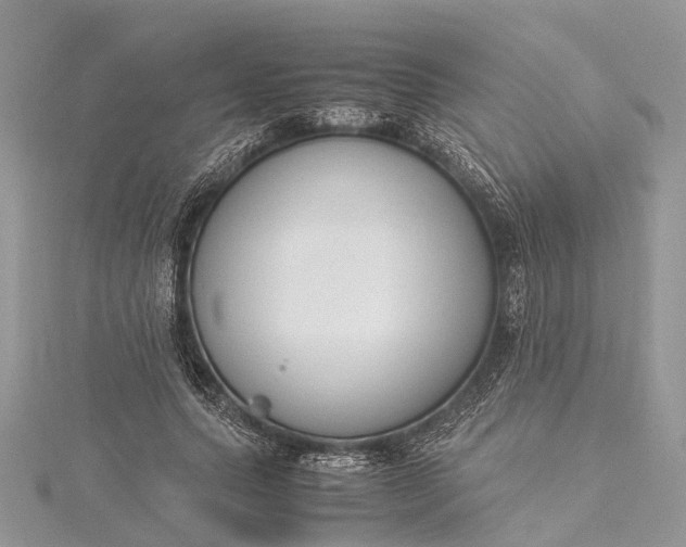 X0000115500639200911201619