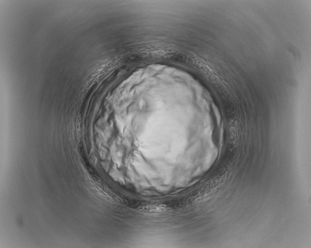 X0000115500642200911201619