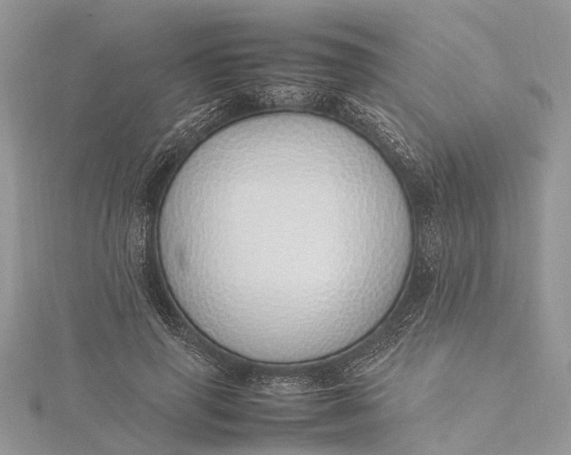 X0000115500645200911201619