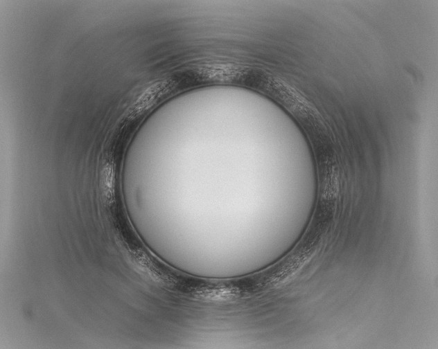 X0000115500646200911201619