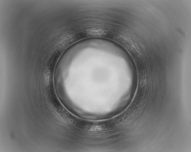 X0000115500647200911201619