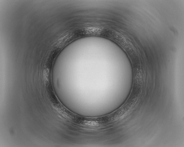 X0000115500649200911201619