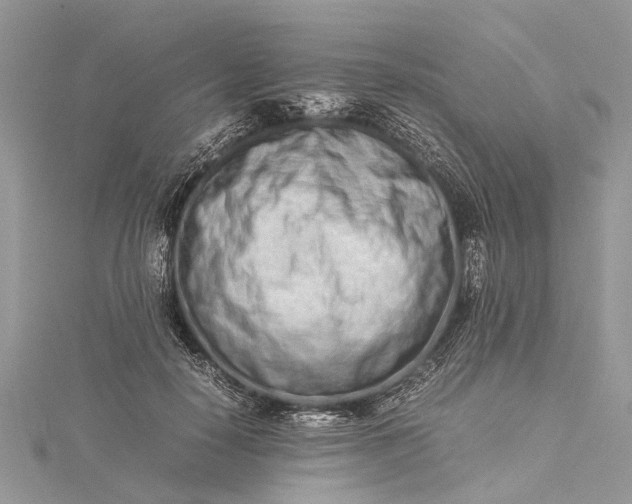 X0000115500650200911201619