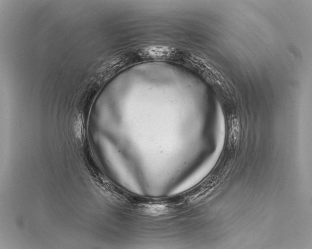 X0000115500651200911201619