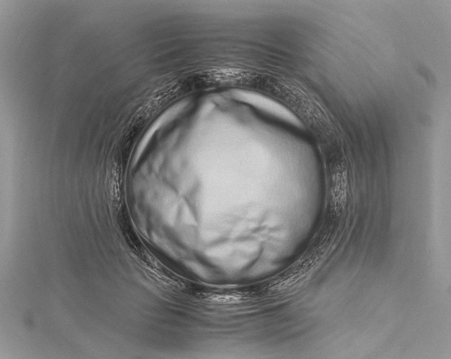 X0000115500653200911201619