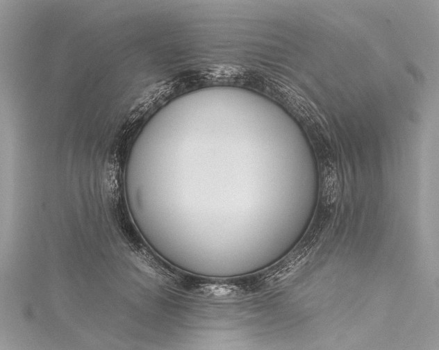 X0000115500654200911201619