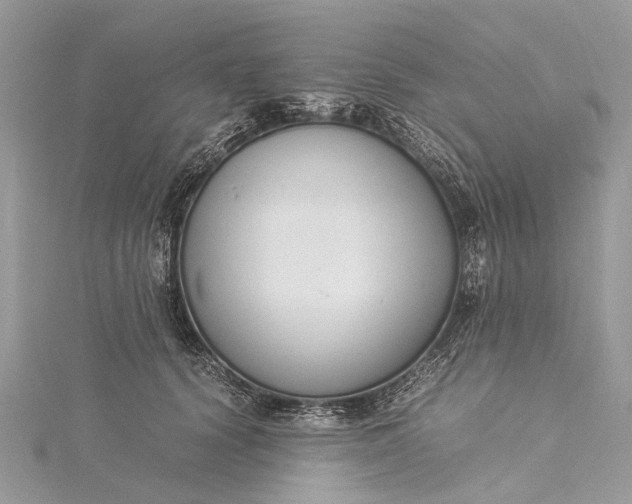 X0000115500656200911201619
