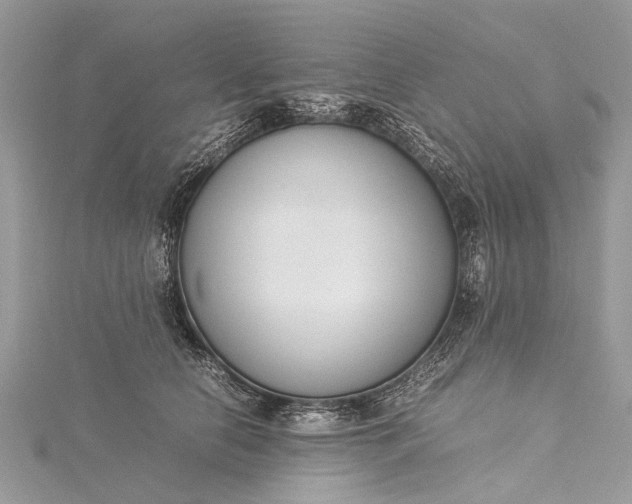 X0000115500658200911201619