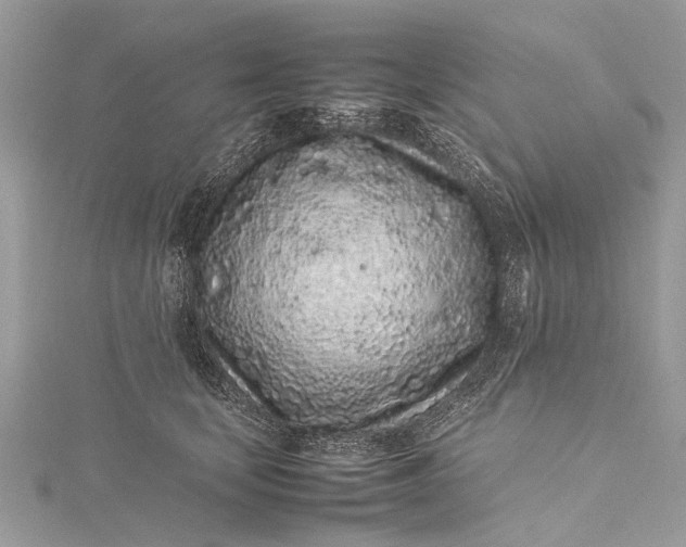 X0000115500659200911201619