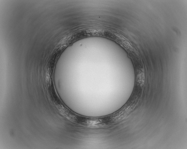 X0000115500662200911201619