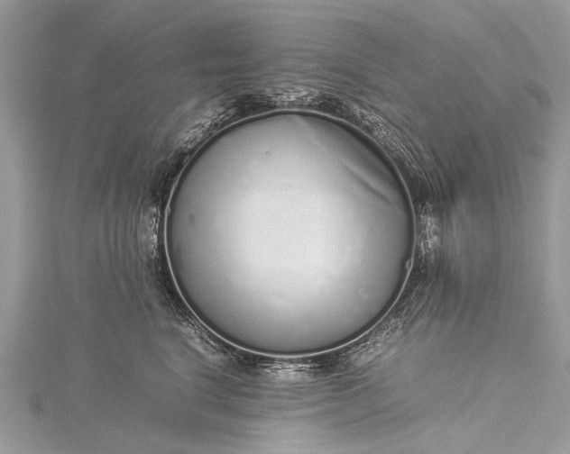 X0000115500664200911201619