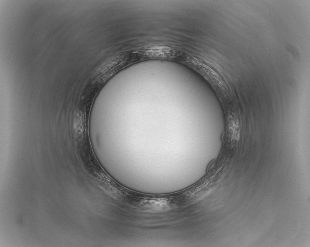 X0000115500665200911201619