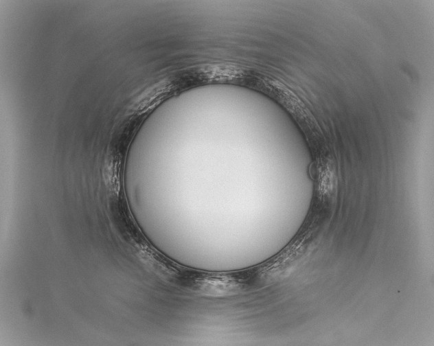 X0000115500666200911201619