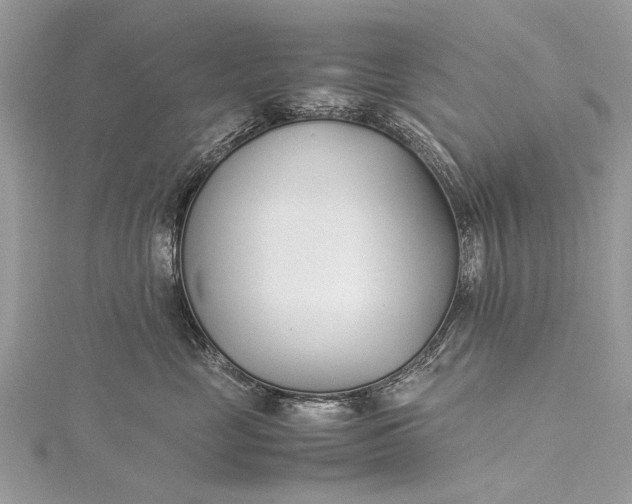 X0000115500669200911201620