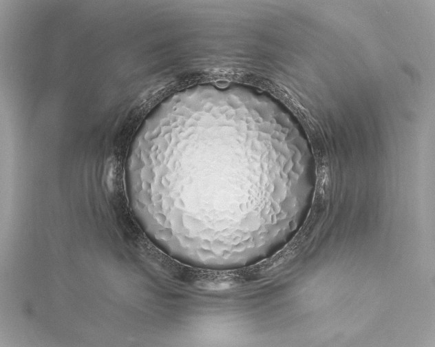 X0000115500671200911201620