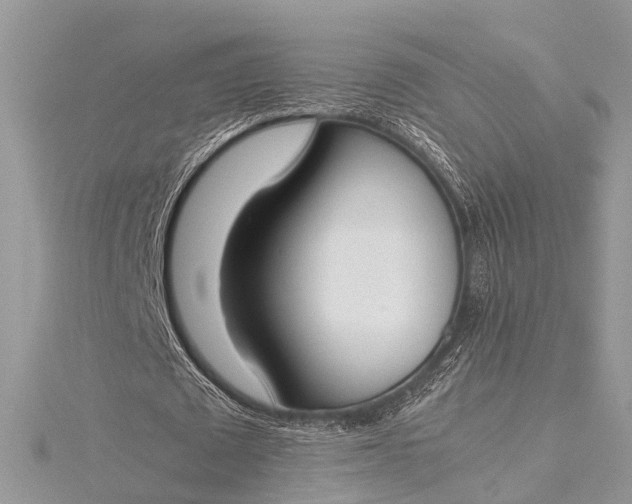 X0000115500673200911201619