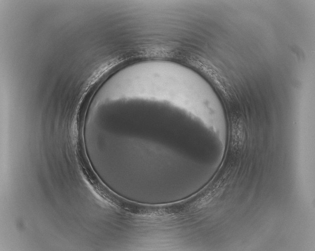 X0000115500674200911201619
