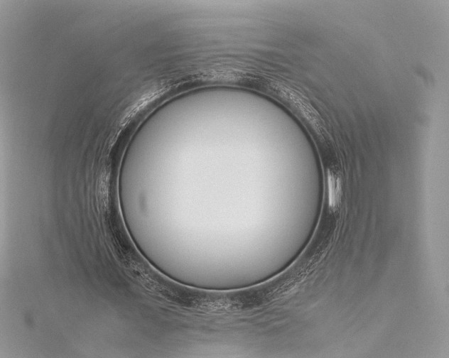 X0000115500675200911201619