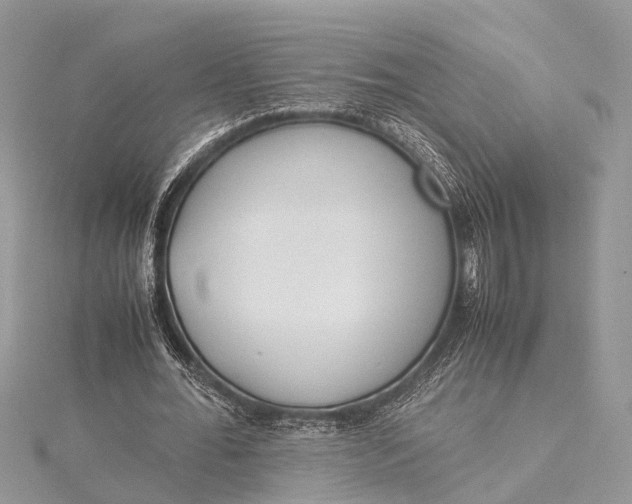X0000115500676200911201619