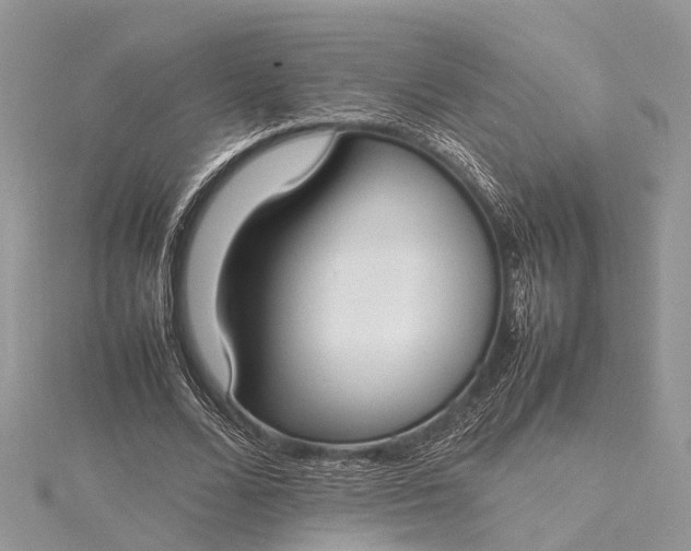 X0000115500680200911201619